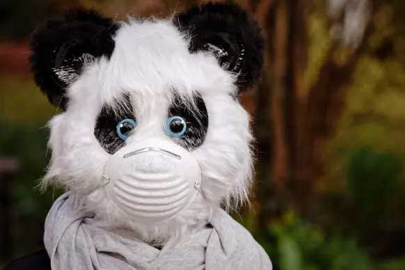 롤러스 카지노 지원